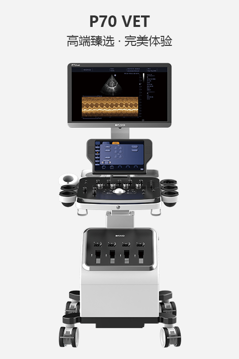 高端獸用彩色多普勒超聲診斷系統(tǒng)